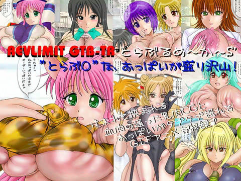 Revlimit GTB-TR　とらぶるめ〜か〜S’