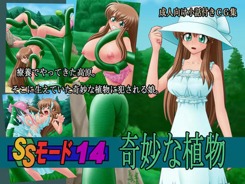 SSモード 14