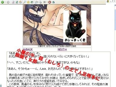 歴史専科-第2期-お買得パック サンプル1ページ目