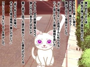 僕の飼い猫が女の子なったらどうなってしまうのか サンプル1ページ目