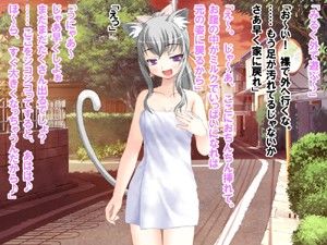 僕の飼い猫が女の子なったらどうなってしまうのか サンプル3ページ目