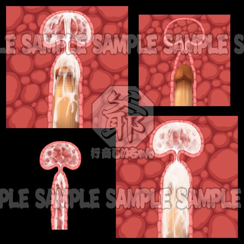 行商じいちゃんの便利素材 断面図・膣内射精2（正面図） サンプル1ページ目