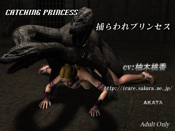 Catching Princess