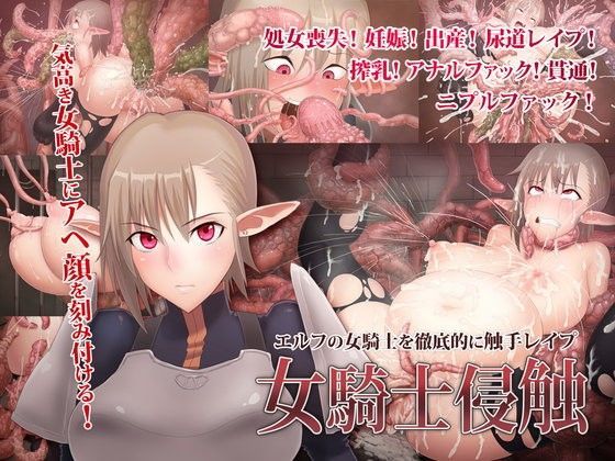 女騎士侵触