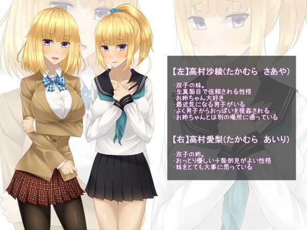 双子の姉が○される感覚が、私に伝わるなんてありあえない サンプル4ページ目