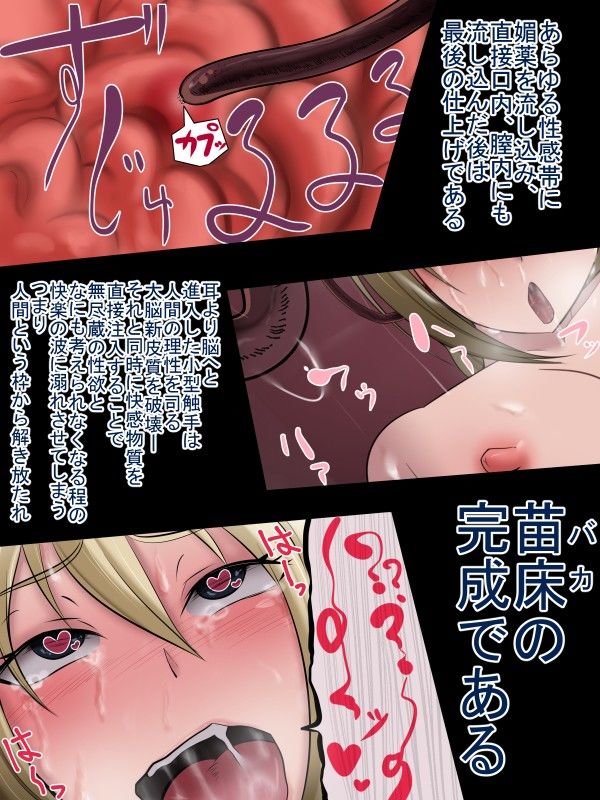 苗床姫騎士 サンプル4ページ目