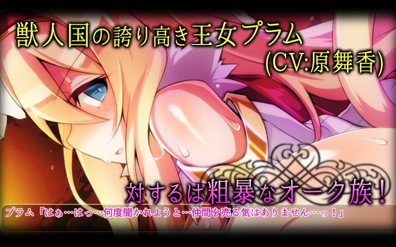 淫辱の姫騎士プラム（モーションコミック版） サンプル1ページ目