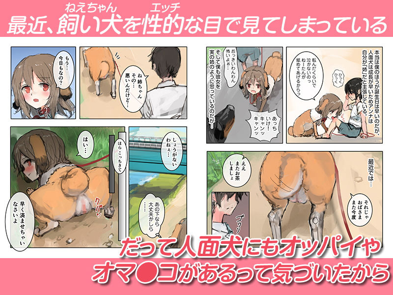 美人面犬の飼い方 サンプル2ページ目