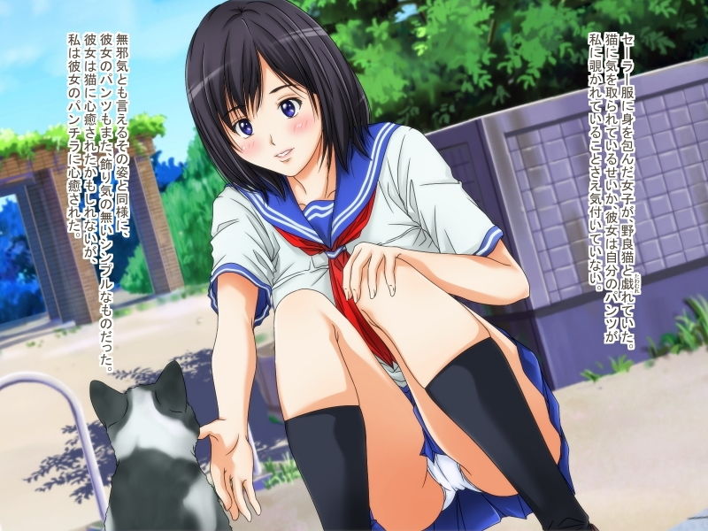パンチラ目撃日誌 サンプル1ページ目