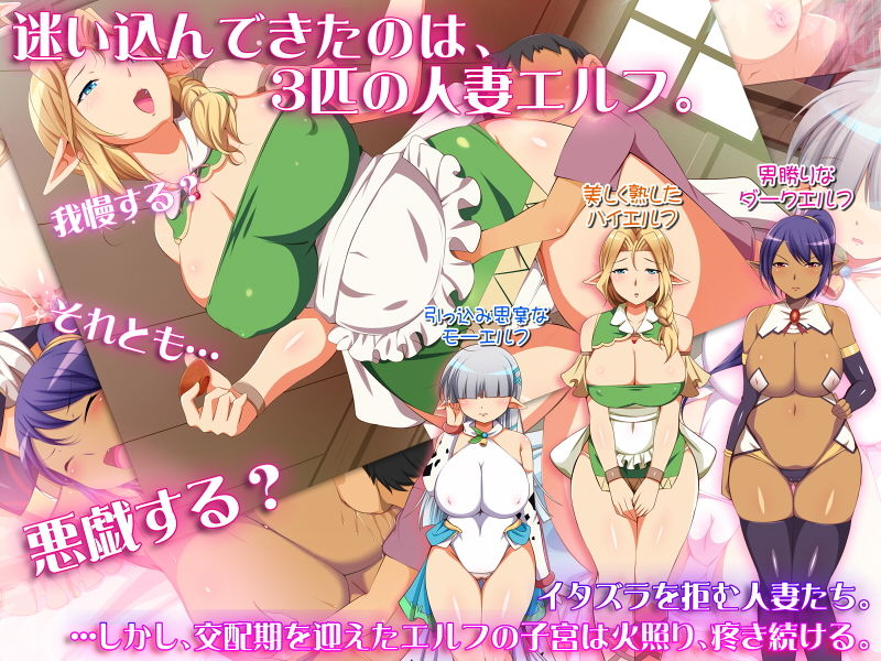 ボクと乳妻エルフたち -嫌がるメスと交尾するボク！- サンプル1ページ目