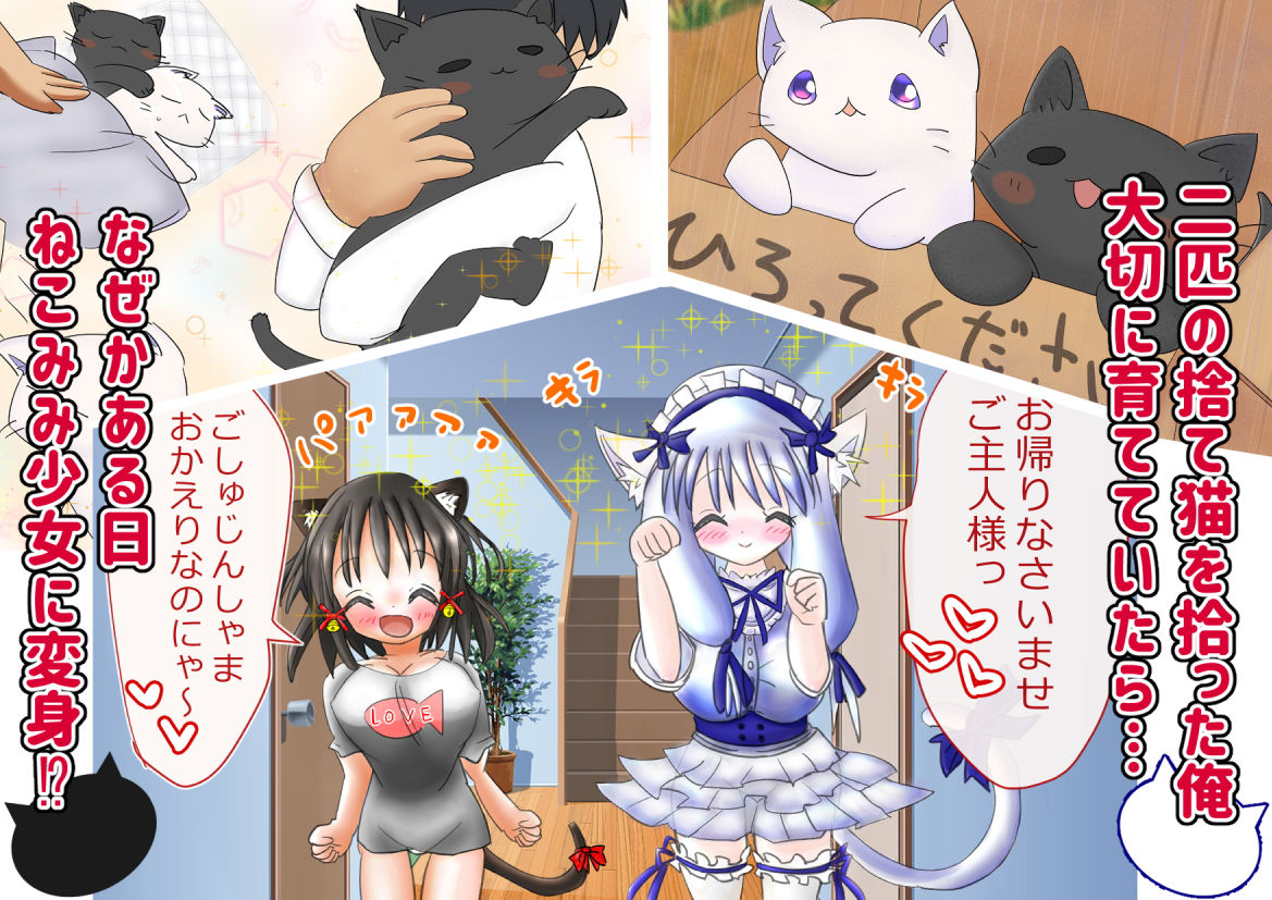 猫耳少女のHな恩返し〜拾ってくれたお返しにHなご奉仕しますニャン〜 サンプル1ページ目