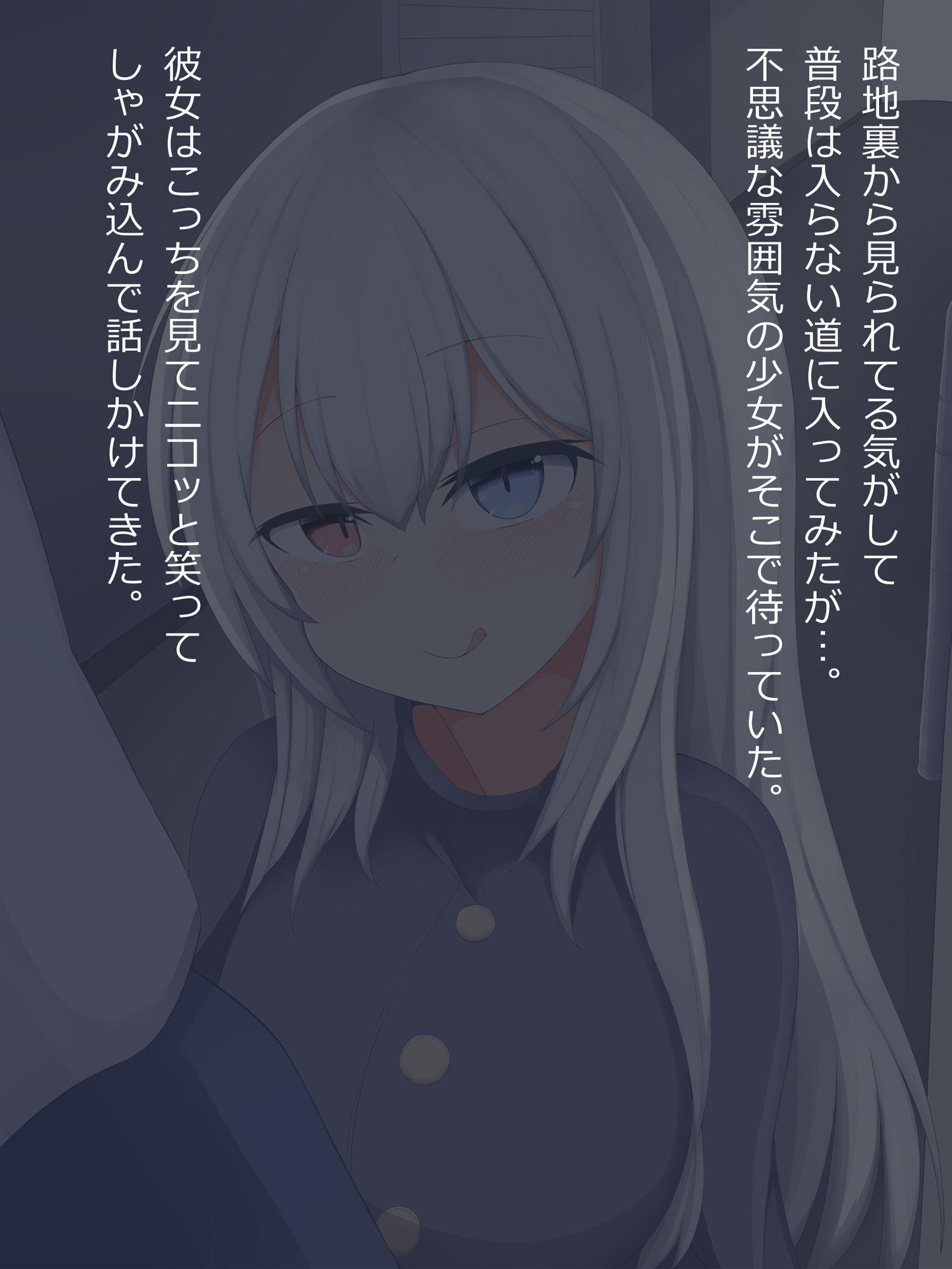 サキュバスちゃんの餌-路地裏痴女に出会ってサキュバスの餌になっちゃうお話 サンプル1ページ目