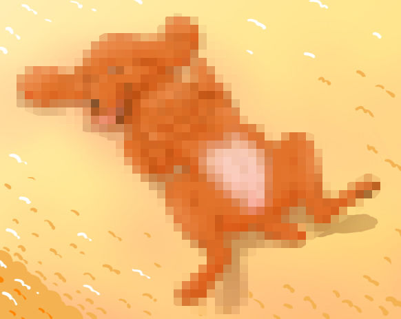 愛〇の絵ロ本 サンプル2ページ目