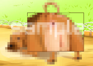 ブ○ッドハ○ンド サンプル1ページ目