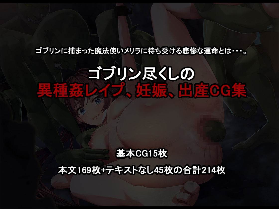 初心者魔法使いはゴブリン専用の孕み袋として サンプル4ページ目