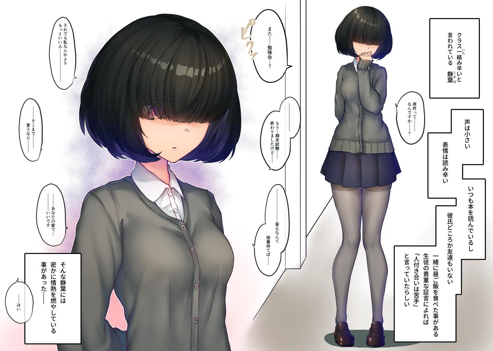SK-H ZIP サンプル1ページ目