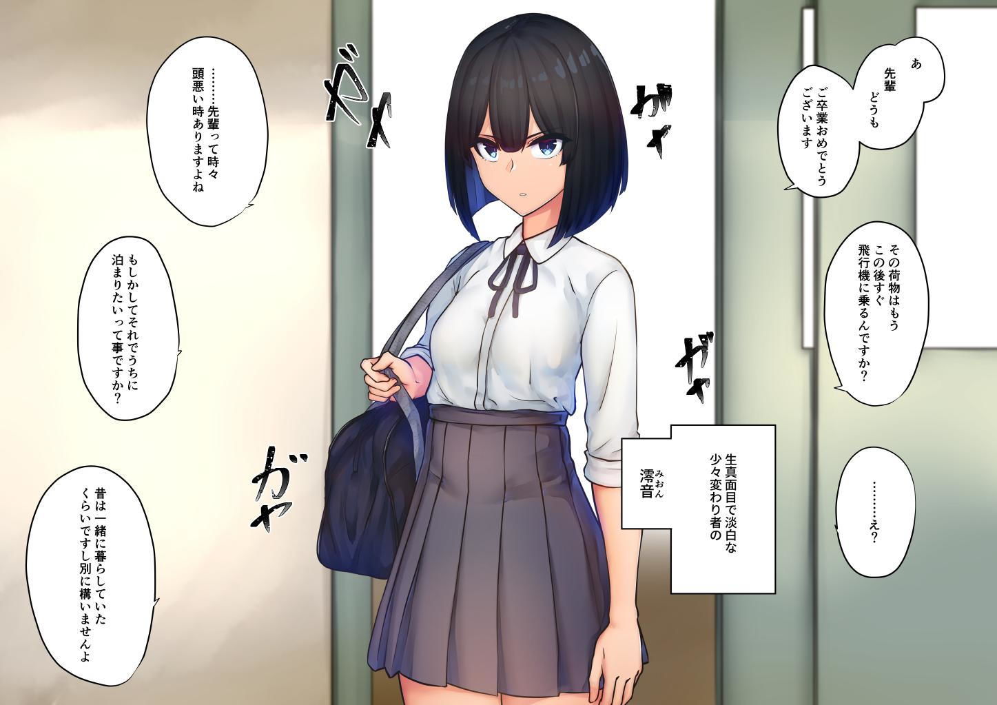 SK-H ZIP 淡 サンプル1ページ目