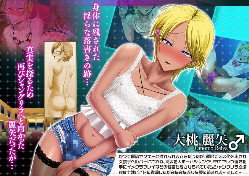 ヤンキー女装子ヘルパーVol.4 〜勃起妻 桃尻受精伝説〜 サンプル1ページ目