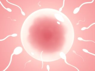 ネコミミ人妻と生交尾 サンプル3ページ目