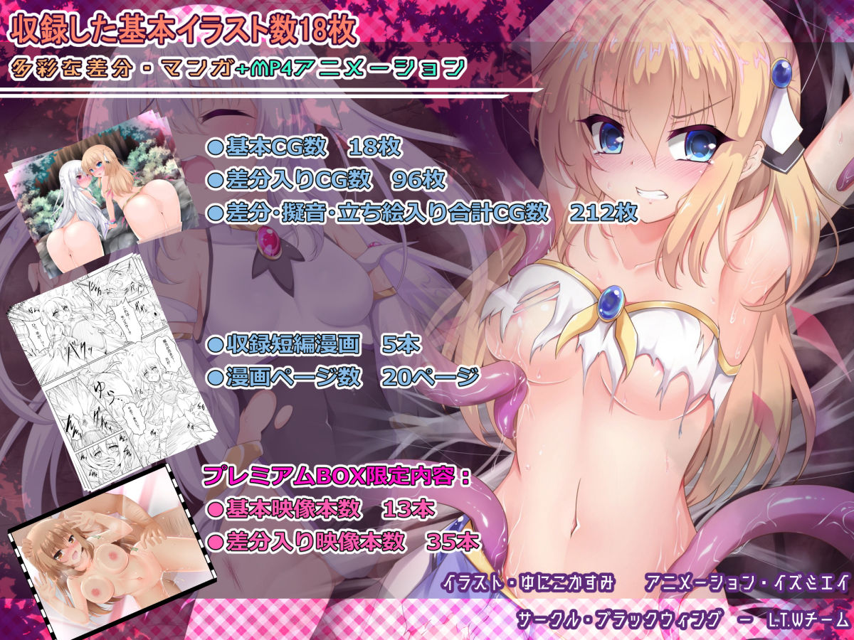 IF魔幻少女ドリームメイデンER・プレミアムBOX サンプル6ページ目