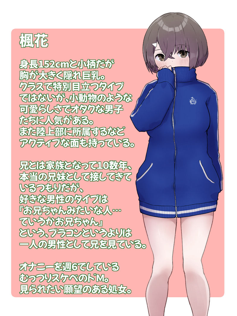 エロチューブ登録者100万人達成しないと助けが来ない無人島に送られた俺たち兄妹 サンプル6ページ目