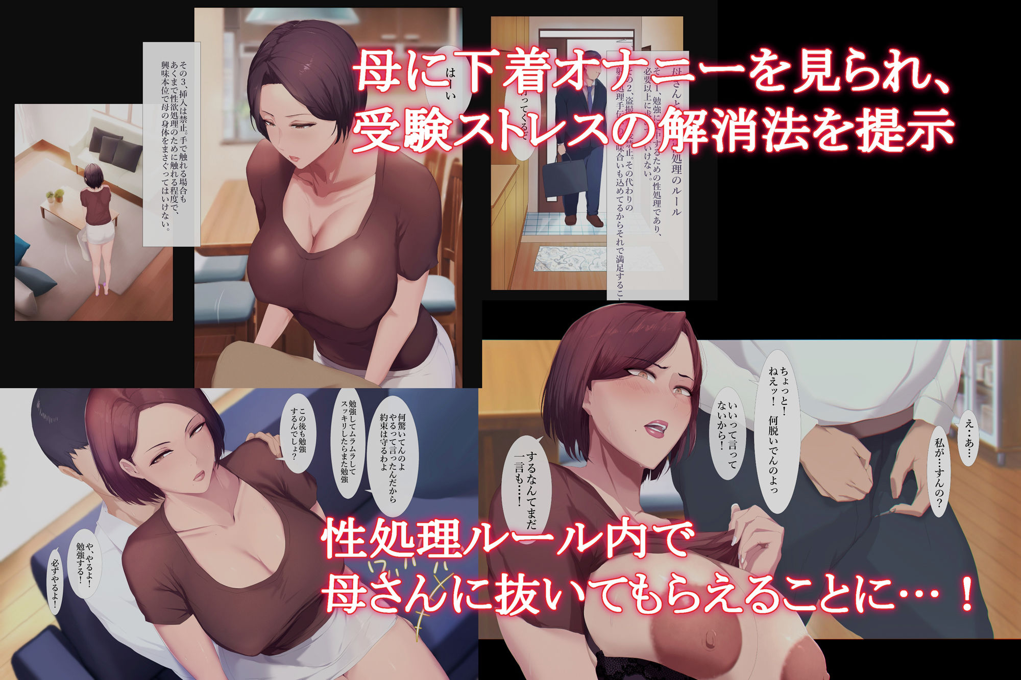 僕が大好きな母さんで性処理していた結果 1 サンプル3ページ目