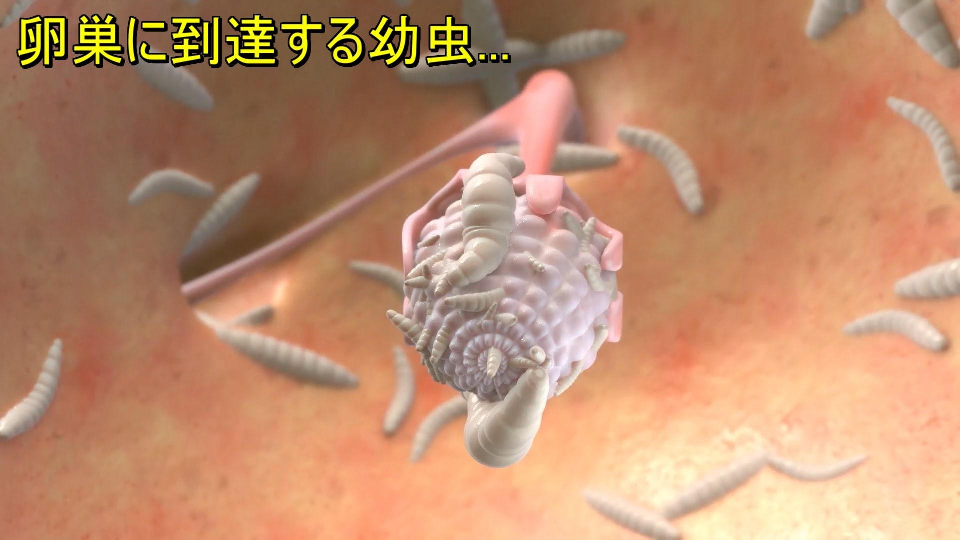 巨大バエに孕まされる眼鏡っ子JK サンプル6ページ目