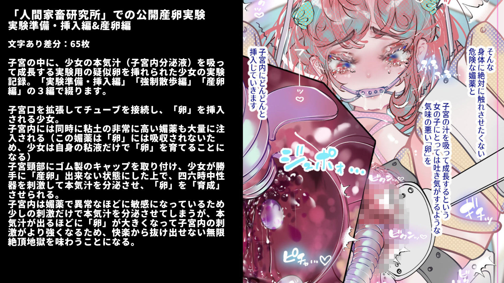 少女誘拐実験vol.26〜30 公開産卵実験・子宮チューブ媚薬注入・逆さ吊り拘束強●絶頂など5作品 サンプル3ページ目
