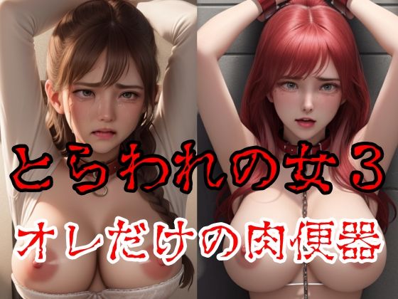 囚われの女3