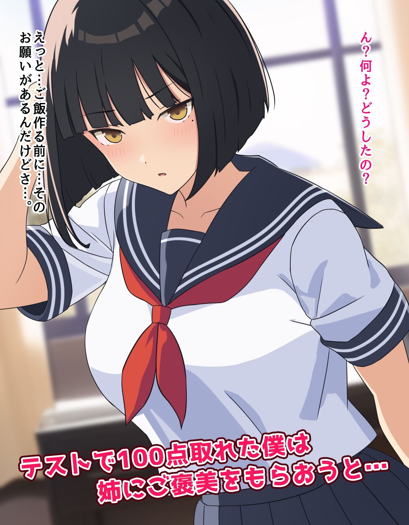 何でも言う事を聞いてくれる姉 サンプル1ページ目
