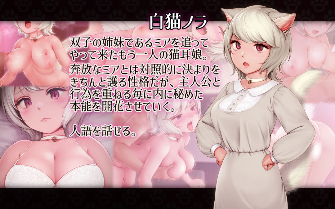 ねこサキュ！-ミアとノラの搾精性活- サンプル2ページ目