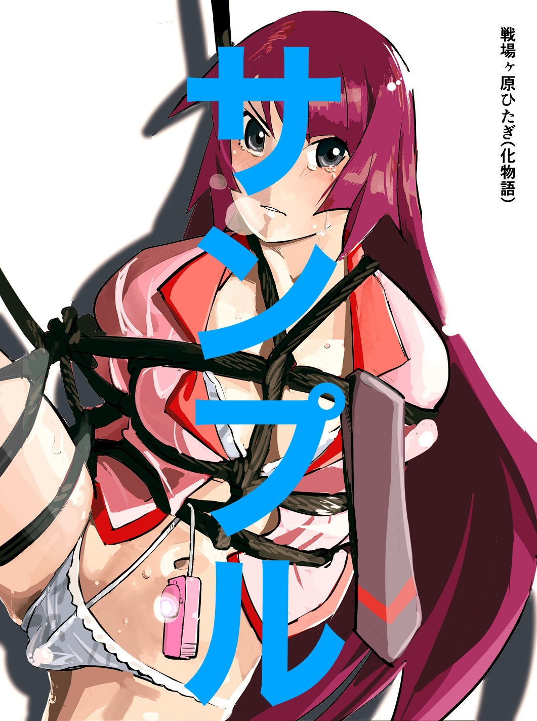 アニメキャラクターSM画集14 サンプル1ページ目