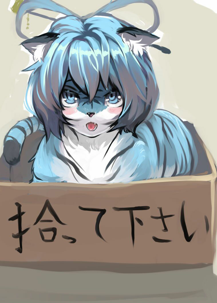 お前がペットになるんだよ！！ サンプル2ページ目