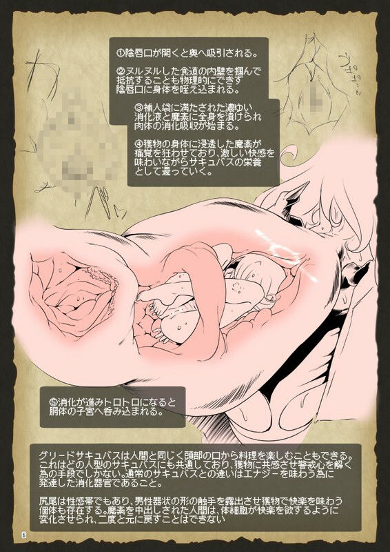 The Adventurer’s Guide to Monsters サキュバスのひみつずかん サンプル2ページ目