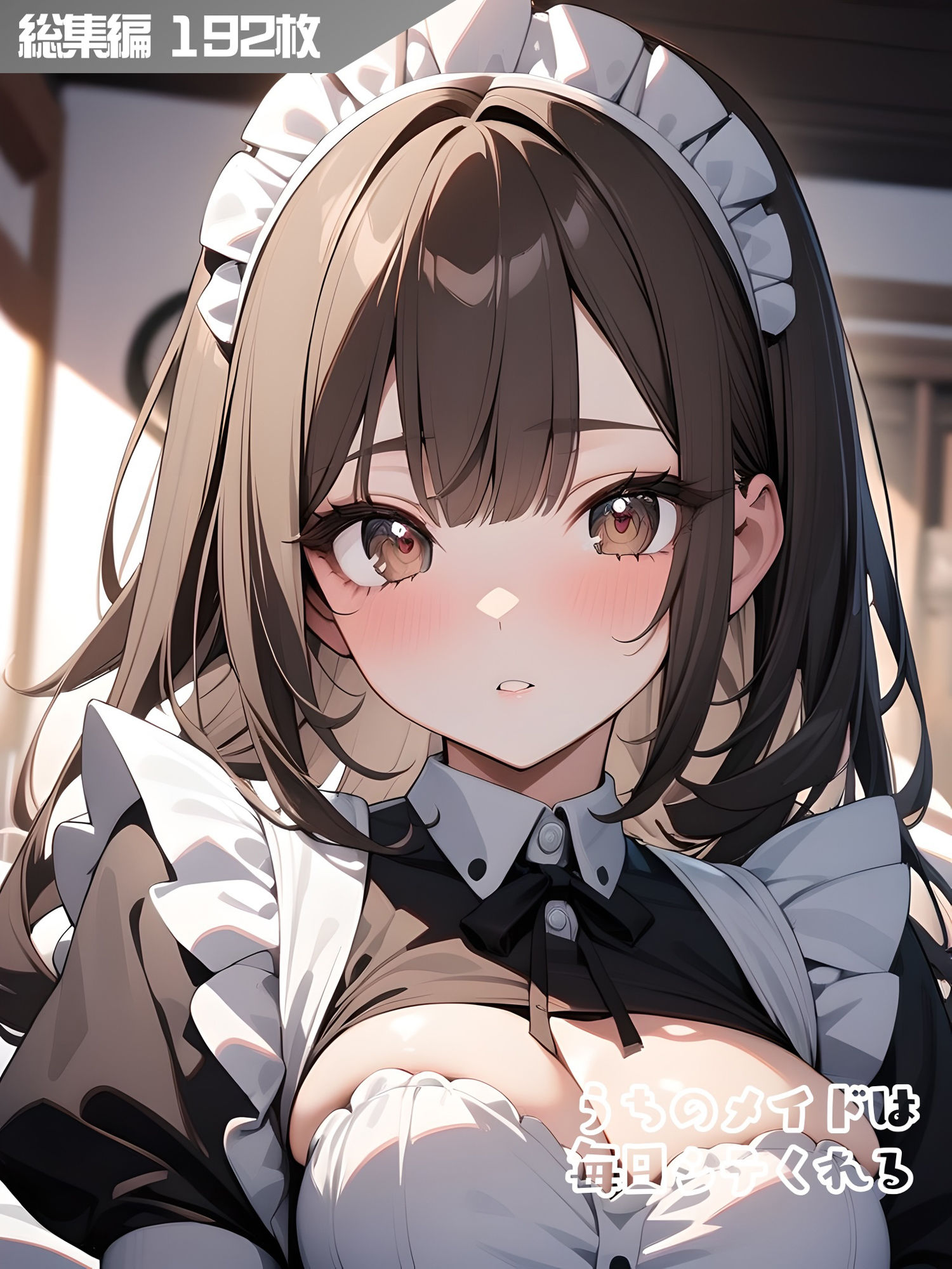 うちのメイドは毎日シテくれる 総集編 サンプル1ページ目