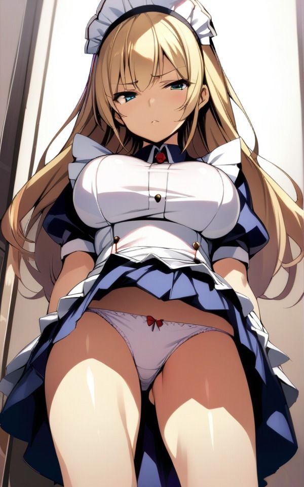 蔑んだ表情でパンツ見せてくれるメイドさん（全145枚） サンプル3ページ目
