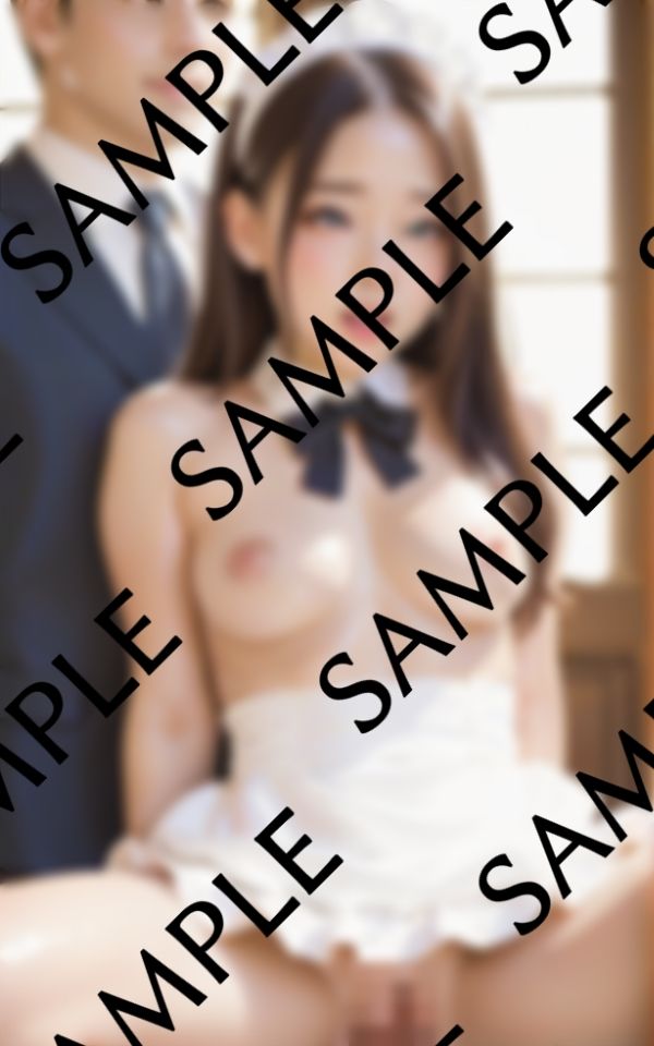 The メイド中出し日記 サンプル1ページ目