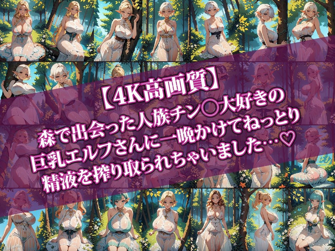 巨乳ドすけべエルフに1晩中ねっとり搾り取られた件2 サンプル1ページ目