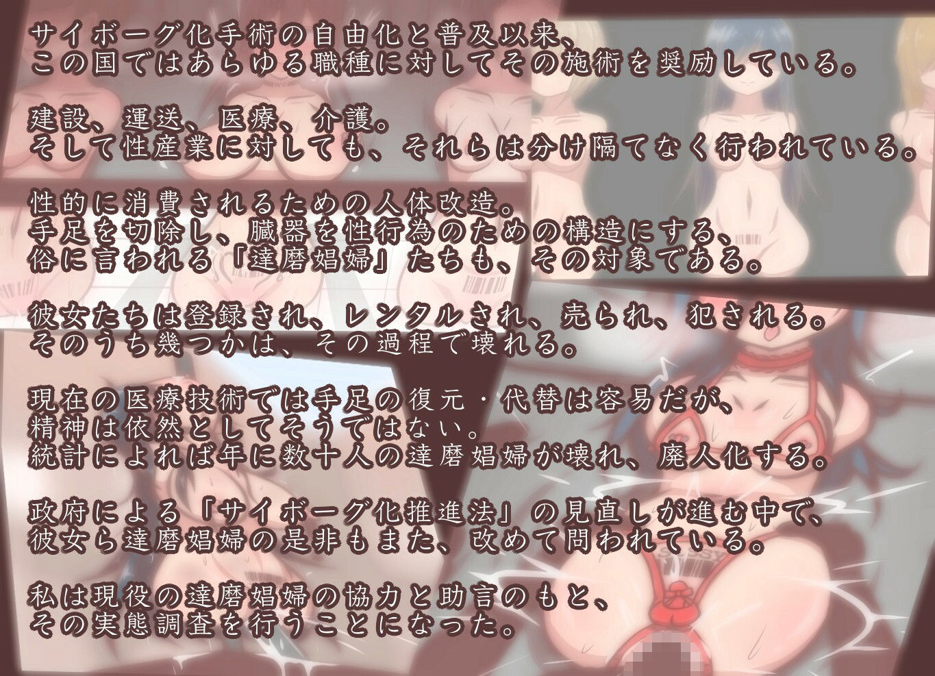 職業:達磨 達磨娼婦運用実態調査記録 サンプル1ページ目