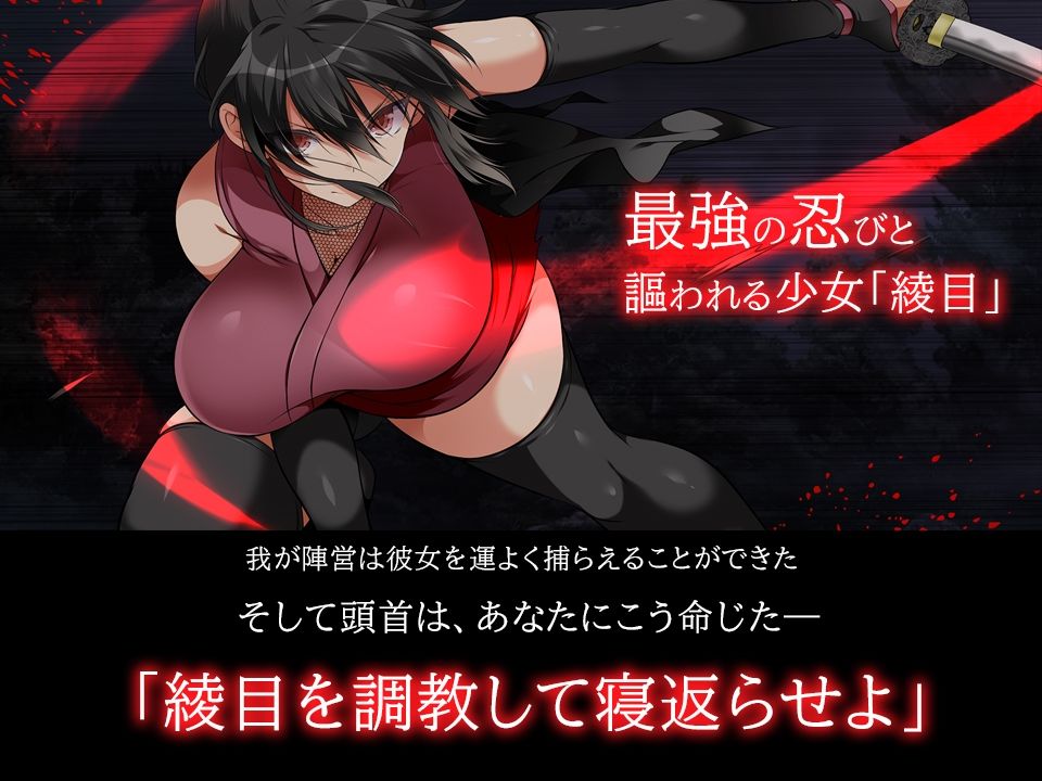忍堕とし【動画＆コミックCG集版】 サンプル8ページ目