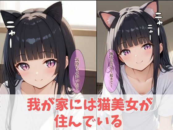 猫を拾ったら美少女に転生！？ドキドキ調教日記2  ［373枚の大ボリュームCG集付き］ サンプル1ページ目