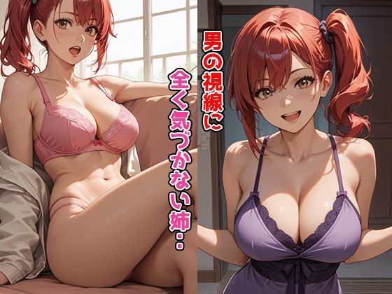 高級なランジェリー好きの姉が訪問者に犯●れる サンプル2ページ目