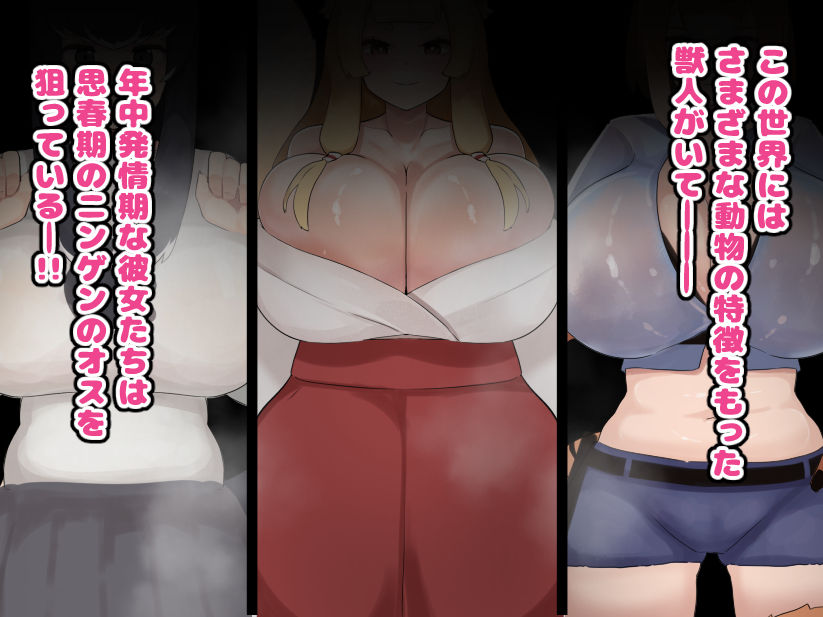 思春期の人間のオスは獣人の♀達に目をつけられてしょうがない！！ サンプル1ページ目