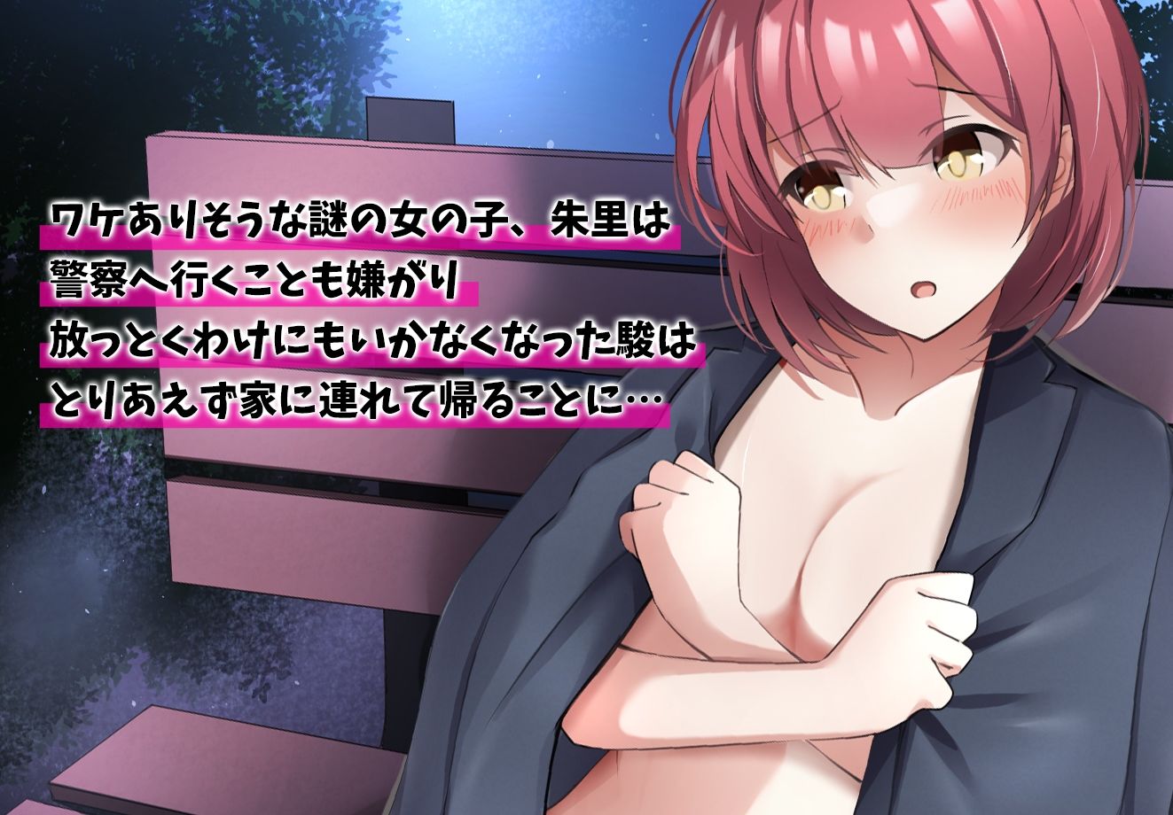 ある日、全裸放置されていた女の子を飼うことになった僕の話 サンプル2ページ目