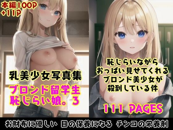 恥じらい娘。3〜恥じらいながら外国人留学生たちがおっぱいでボクを誘惑してくる件。〜