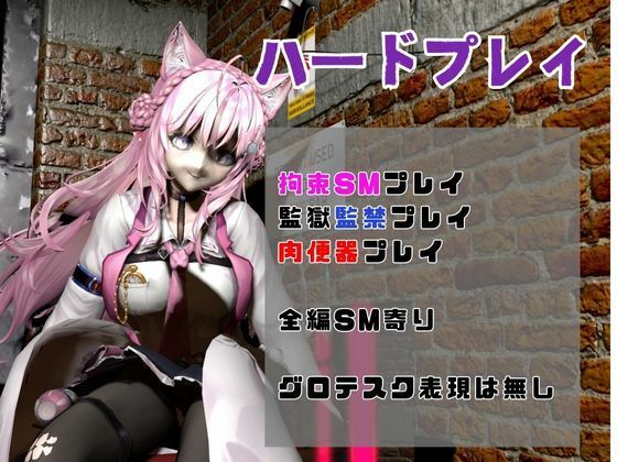 博衣こよりは研究熱心、SMや肉便器のハードプレイも研究しちゃう総集編【動画5本】 サンプル1ページ目