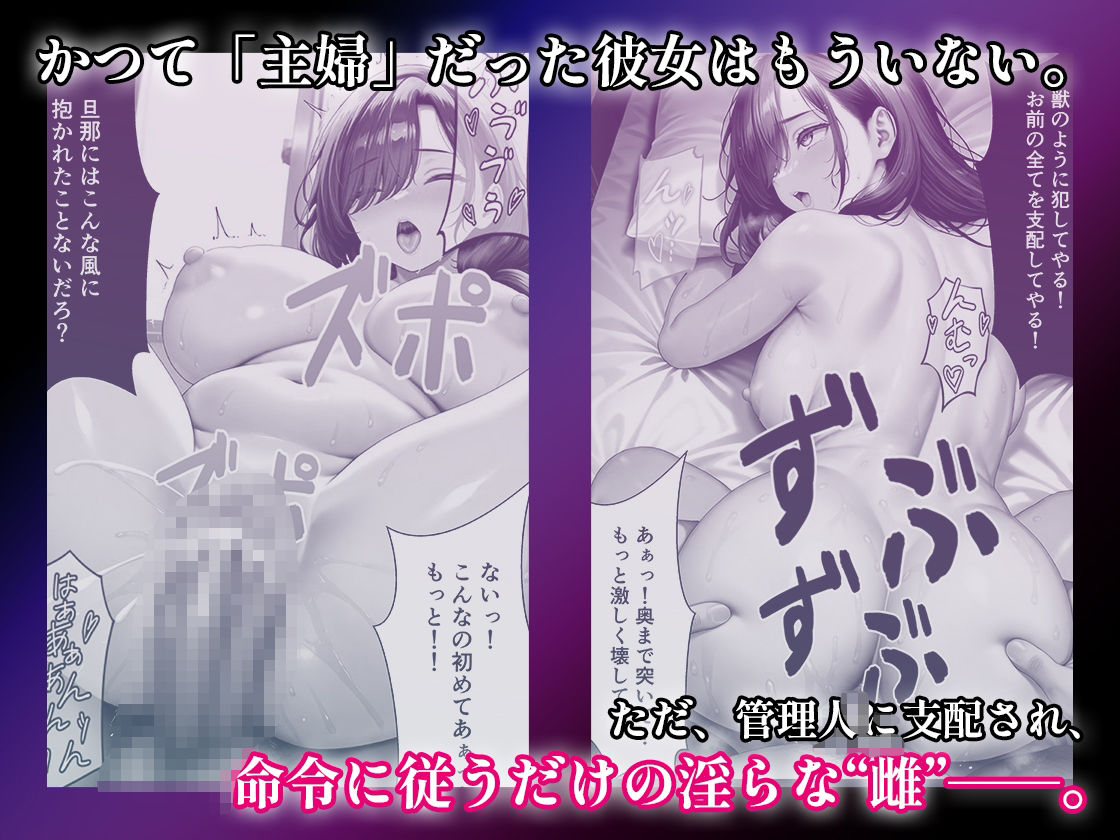 人妻調教マンションNo.2 サンプル5ページ目