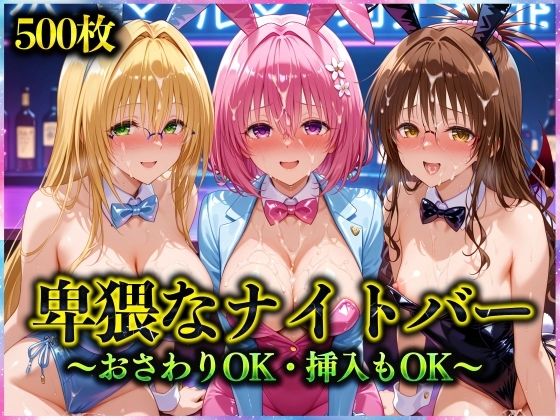 卑猥なナイトバー  〜おさわりOK・挿入もOK〜 Vol.2