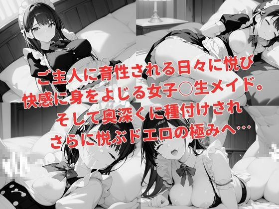 忠実ドエロ欲情女子〇生メイドに種付けH サンプル5ページ目