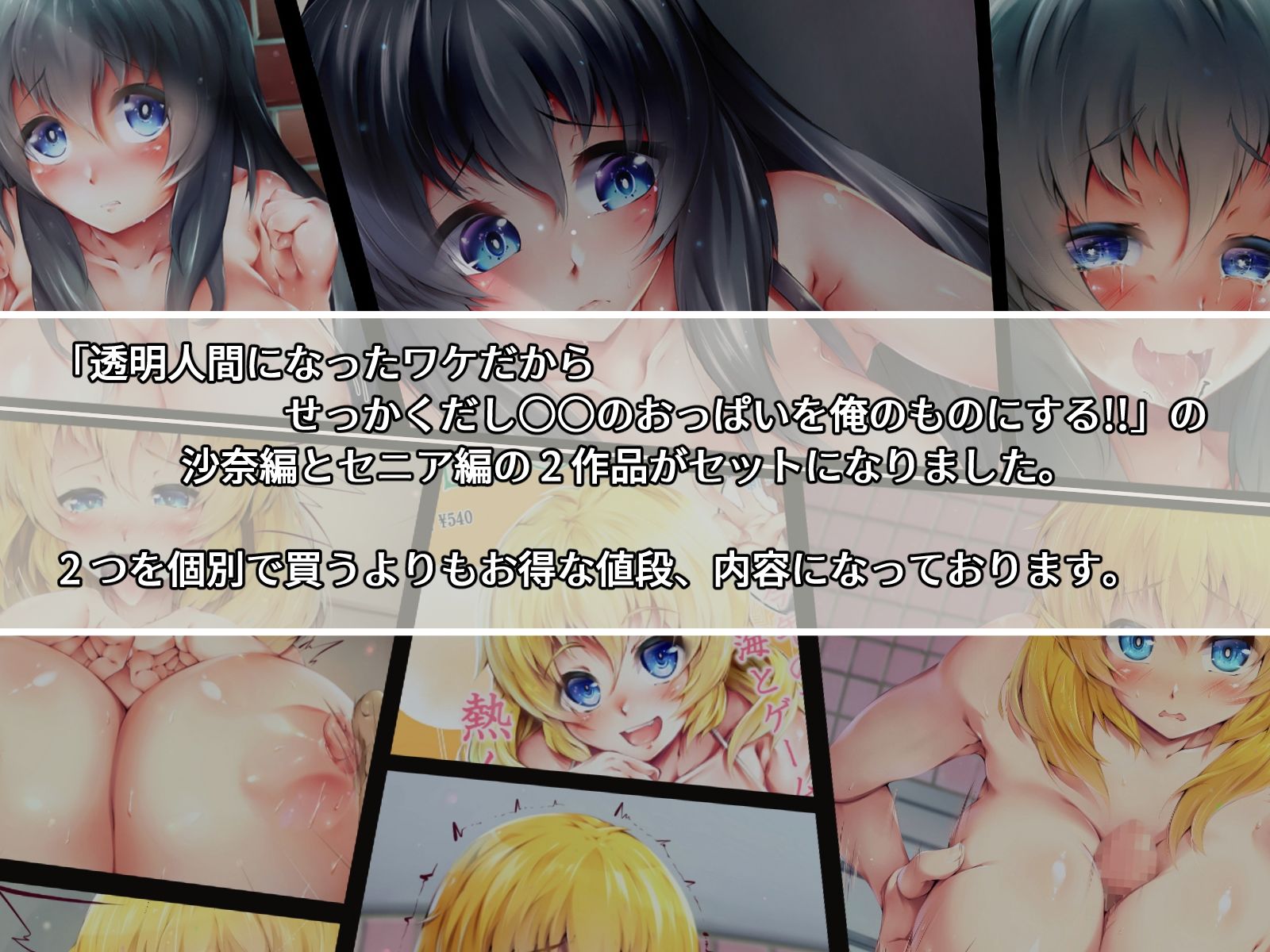 透明人間になったワケだから せっかくだし○○のおっぱいを俺のものにする！！ 沙奈＆セニア Wセット サンプル1ページ目